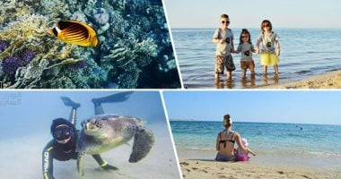 Comparison: Owning Your Booking Website vs. Relying Solely on Social Media