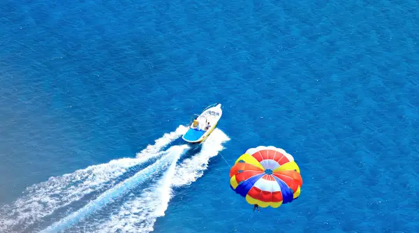 Tourism Business Insurance: Questions to Ask the Insurance Company